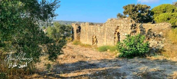 صور لأراضي قرية زبدة بعدسة: أ. أمين خراز