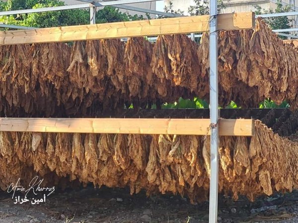 صور لأراضي قرية زبدة بعدسة: أ. أمين خراز