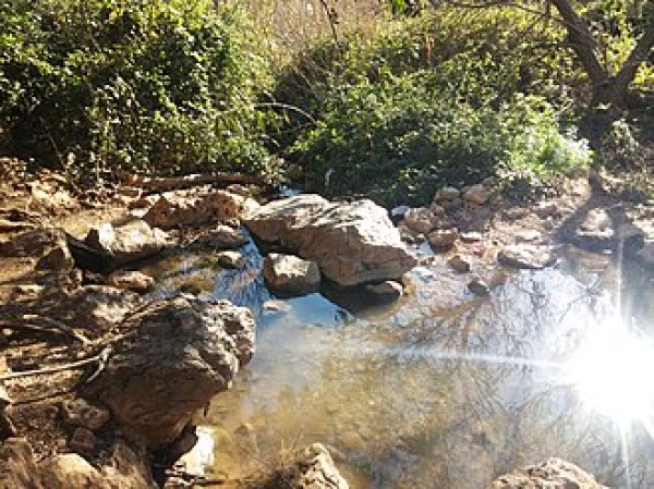  | موسوعة القرى الفلسطينية