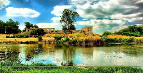  | موسوعة القرى الفلسطينية