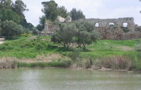  | موسوعة القرى الفلسطينية