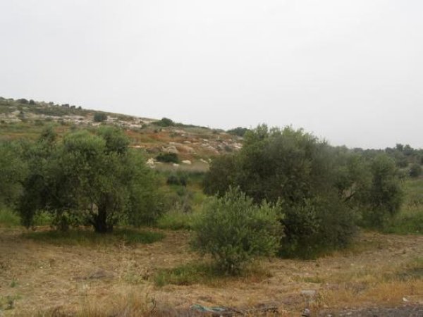  | موسوعة القرى الفلسطينية