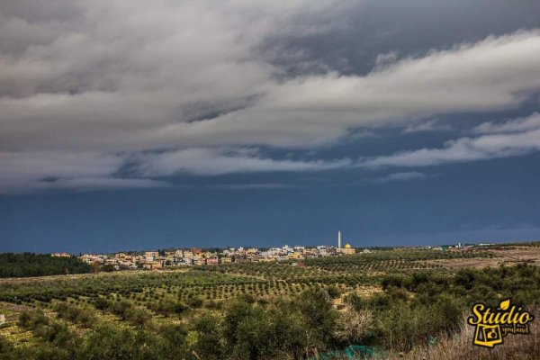  | موسوعة القرى الفلسطينية