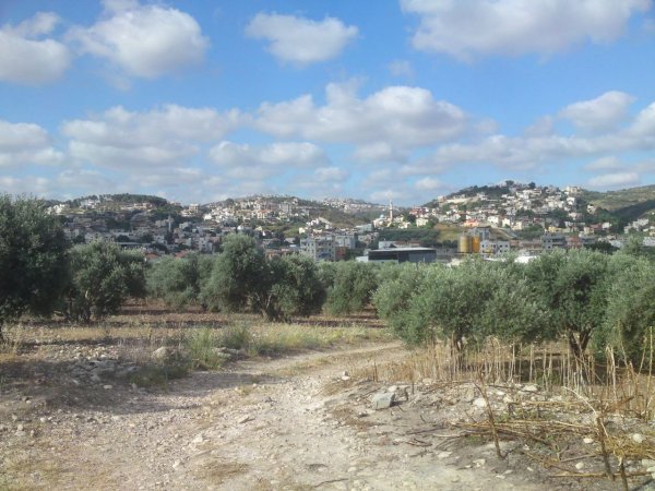  | موسوعة القرى الفلسطينية