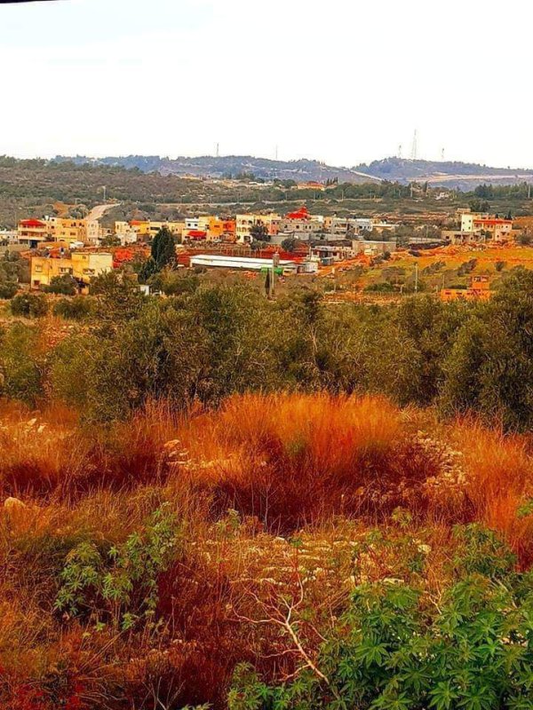  | موسوعة القرى الفلسطينية