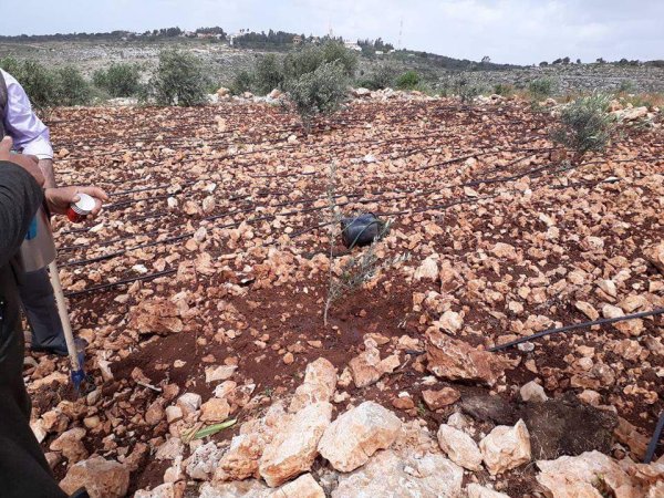  | موسوعة القرى الفلسطينية