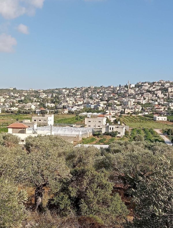 صور من قرية مسلية جنوب جنين