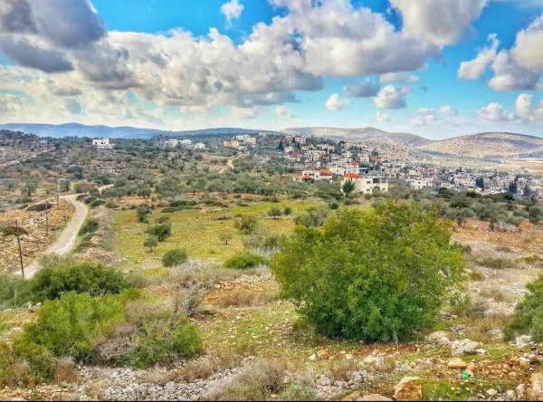 صور من قرية مسلية جنوب جنين