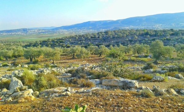 صور من قرية مسلية جنوب جنين