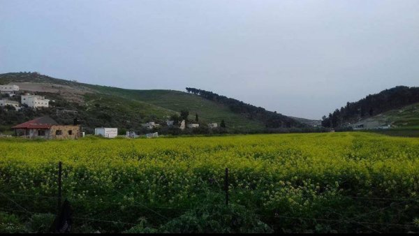 صور من قرية مركة جنوب غربي جنين