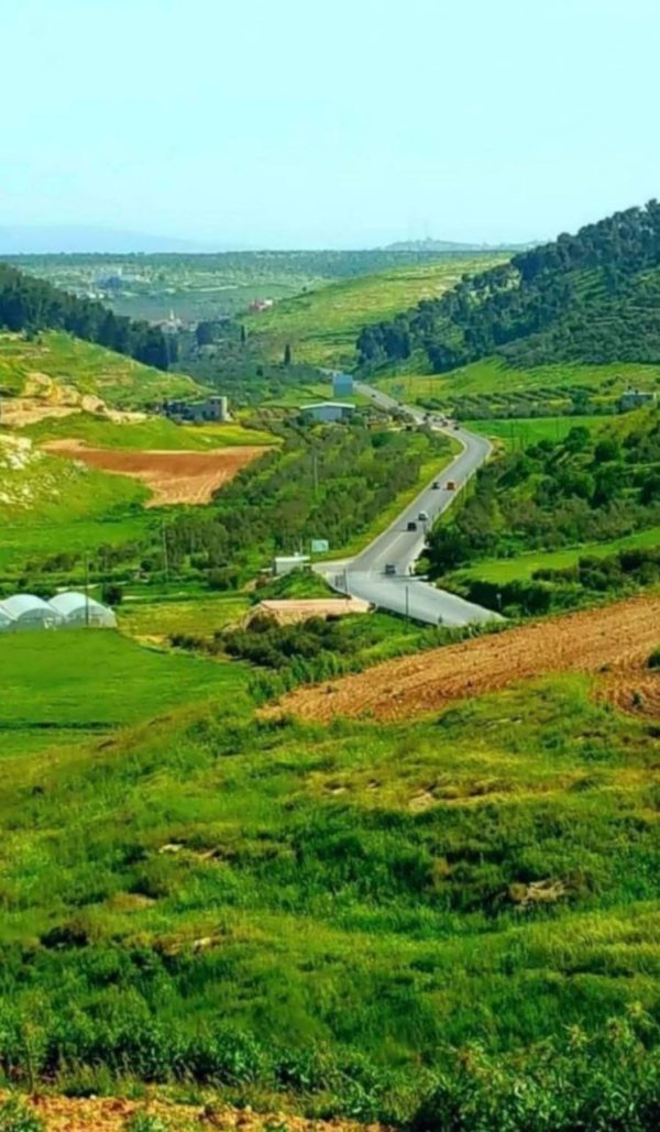  | موسوعة القرى الفلسطينية