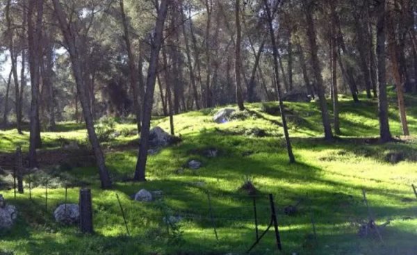 صور من قرية نورس المهجرة قضاء جنين