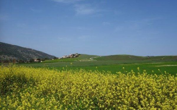 صور من قرية نورس المهجرة قضاء جنين