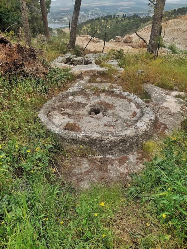 صور حديثة من قرية نورس المهجرة، بعدسة Abu Khader Ahmad Jbaren