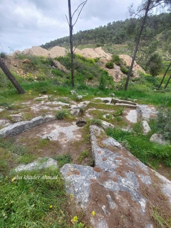 صور حديثة من قرية نورس المهجرة، بعدسة Abu Khader Ahmad Jbaren