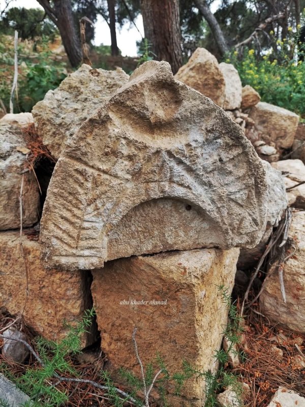 صور حديثة من قرية نورس المهجرة، بعدسة Abu Khader Ahmad Jbaren