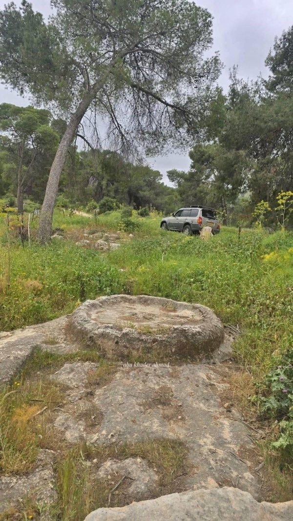 صور حديثة من قرية نورس المهجرة، بعدسة Abu Khader Ahmad Jbaren