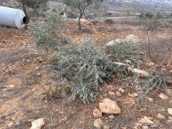  | موسوعة القرى الفلسطينية