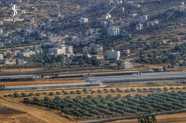  | موسوعة القرى الفلسطينية