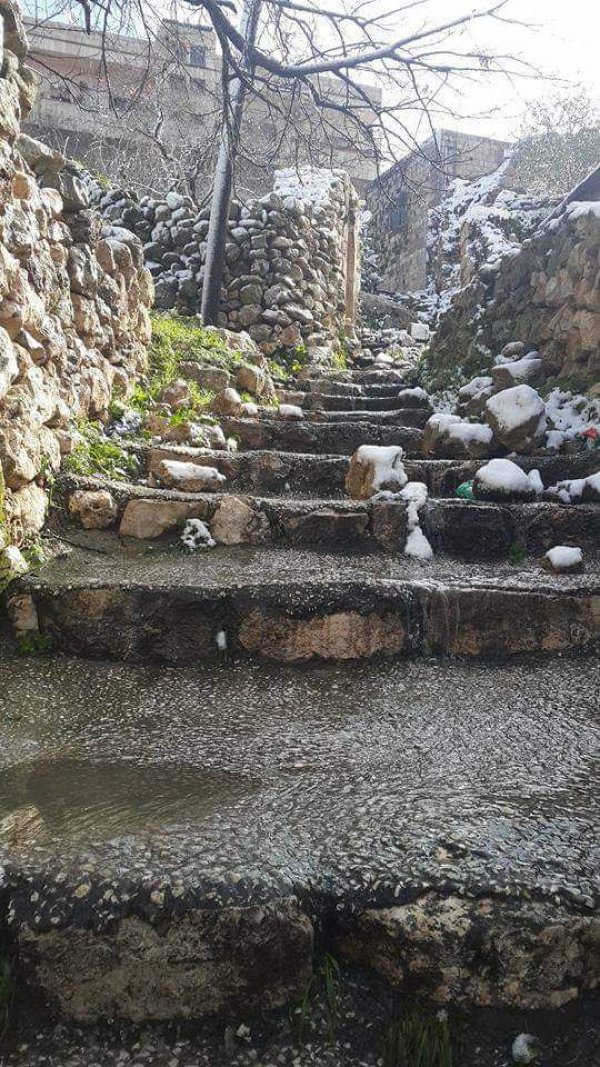  | موسوعة القرى الفلسطينية