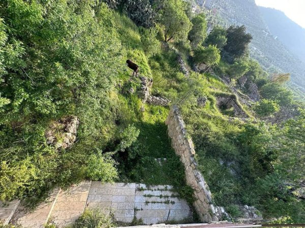  | موسوعة القرى الفلسطينية