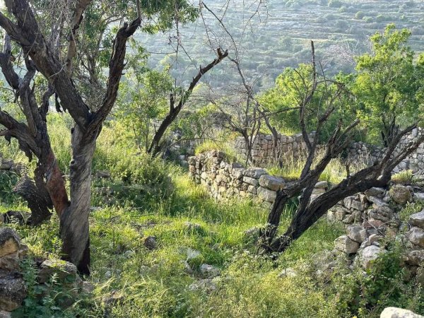  | موسوعة القرى الفلسطينية