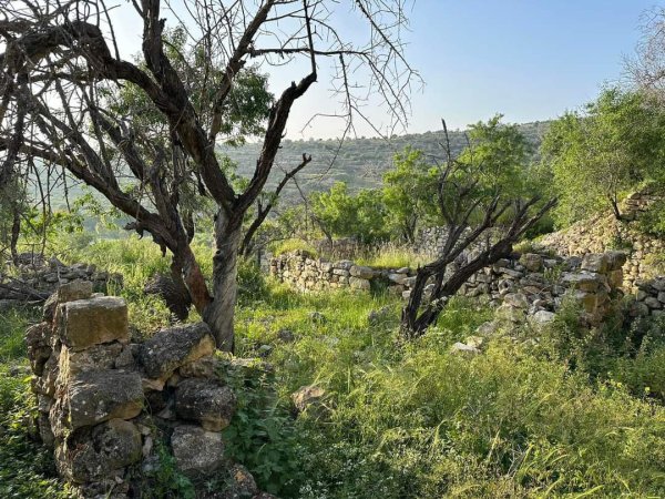  | موسوعة القرى الفلسطينية