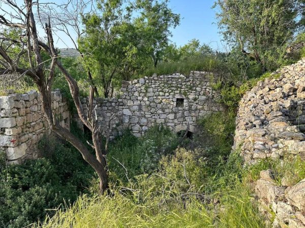  | موسوعة القرى الفلسطينية