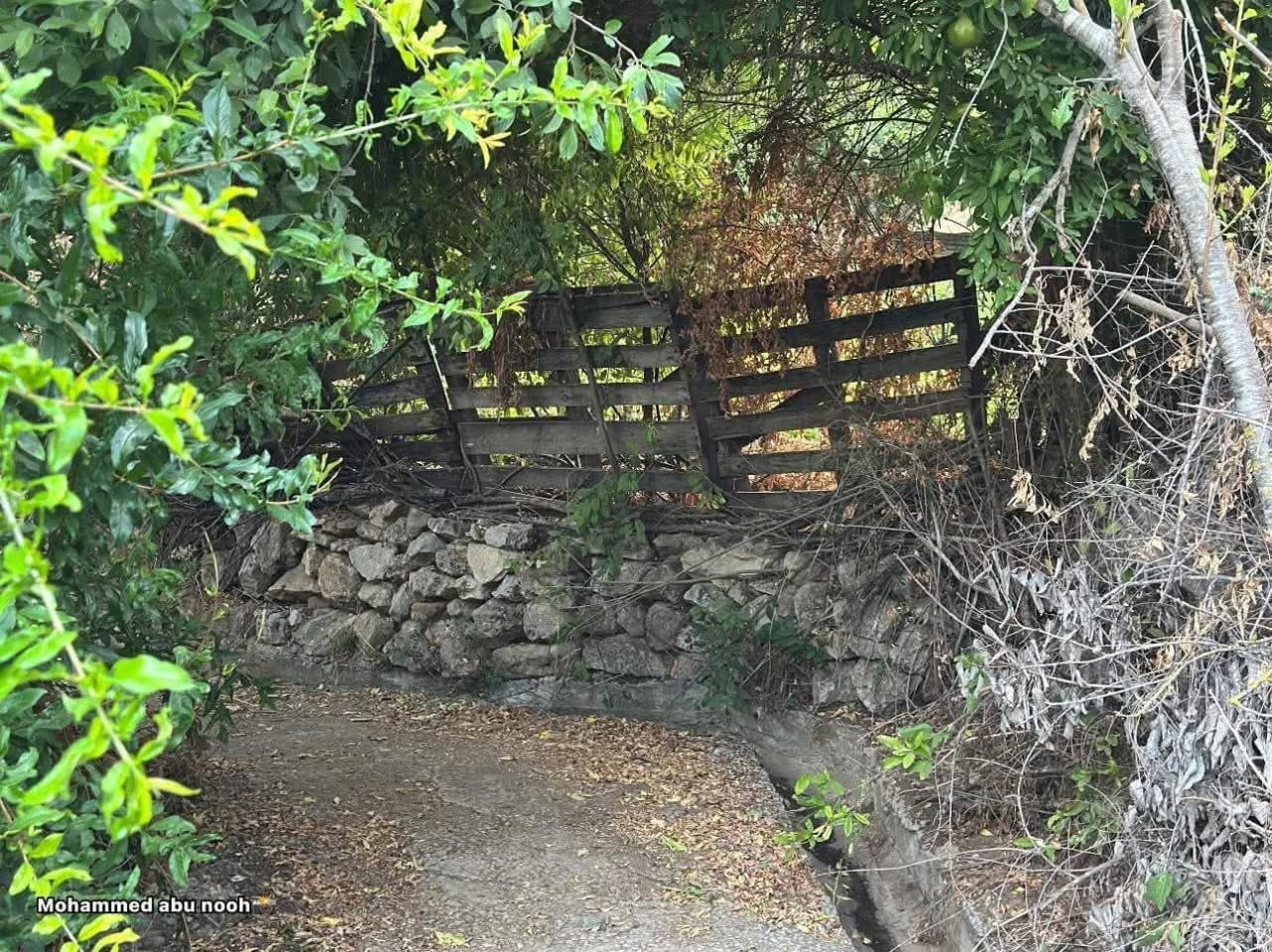  | موسوعة القرى الفلسطينية