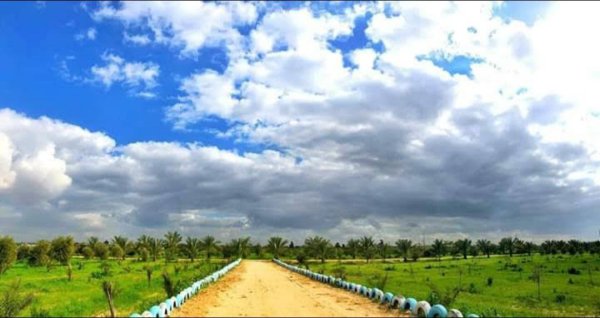  | موسوعة القرى الفلسطينية