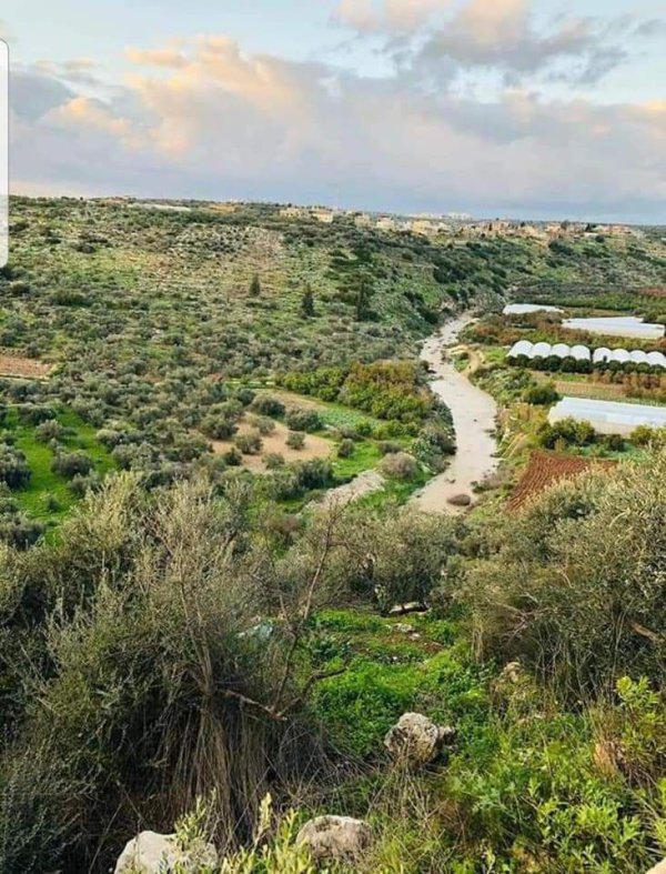  | موسوعة القرى الفلسطينية