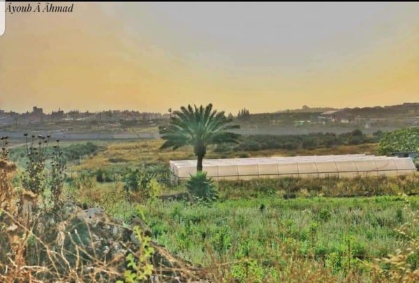  | موسوعة القرى الفلسطينية