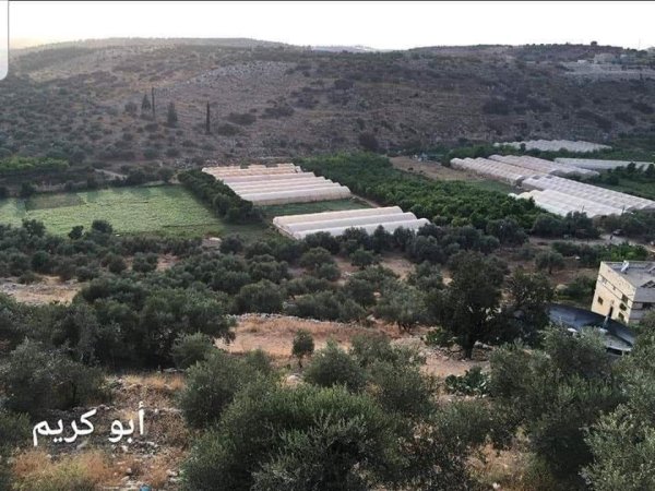  | موسوعة القرى الفلسطينية