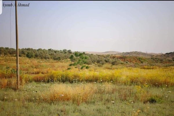  | موسوعة القرى الفلسطينية