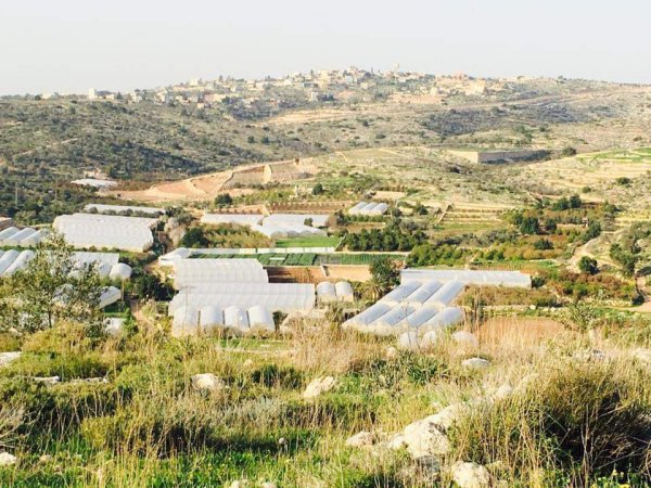  | موسوعة القرى الفلسطينية