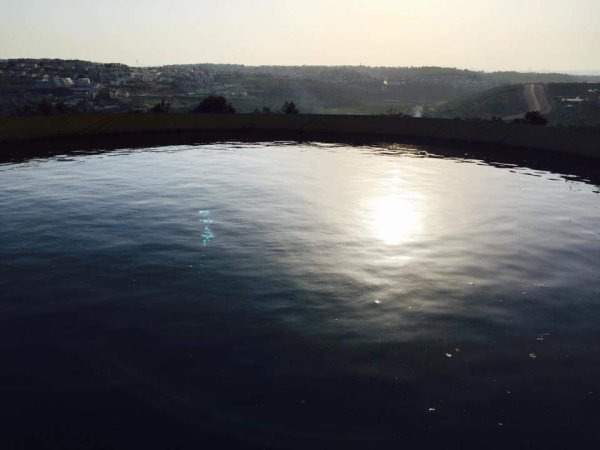  | موسوعة القرى الفلسطينية