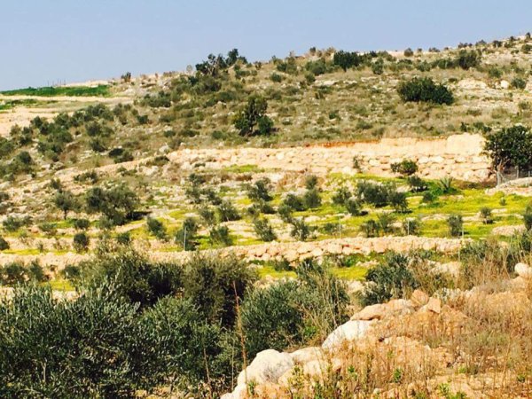  | موسوعة القرى الفلسطينية