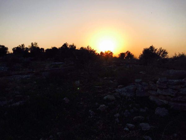  | موسوعة القرى الفلسطينية