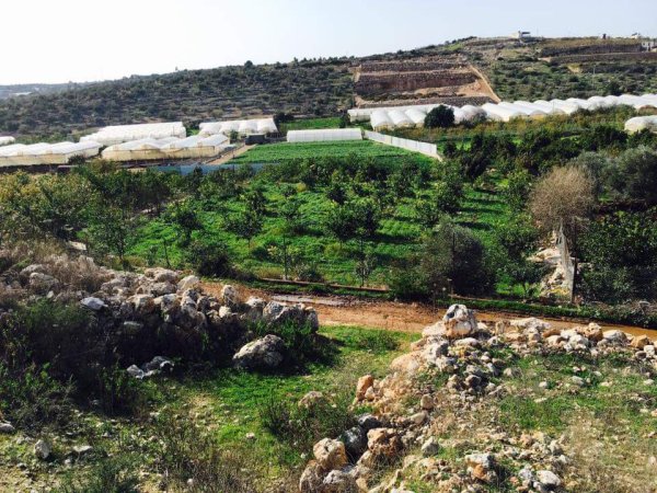  | موسوعة القرى الفلسطينية