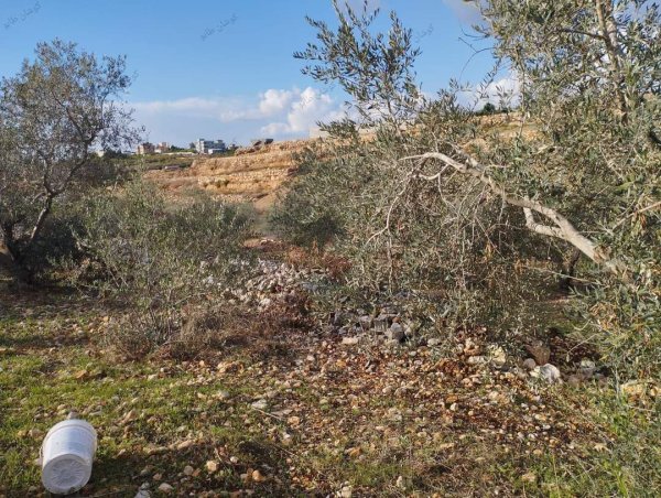  | موسوعة القرى الفلسطينية