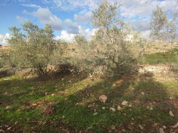  | موسوعة القرى الفلسطينية