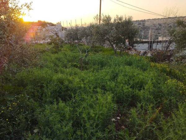  | موسوعة القرى الفلسطينية