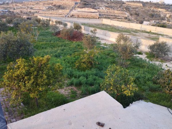  | موسوعة القرى الفلسطينية