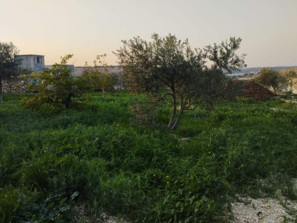  | موسوعة القرى الفلسطينية