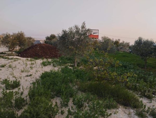  | موسوعة القرى الفلسطينية