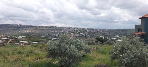  | موسوعة القرى الفلسطينية