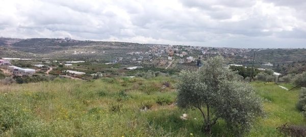  | موسوعة القرى الفلسطينية