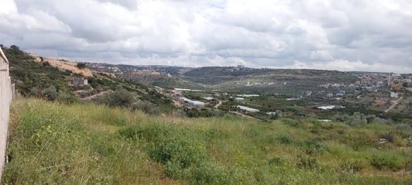  | موسوعة القرى الفلسطينية