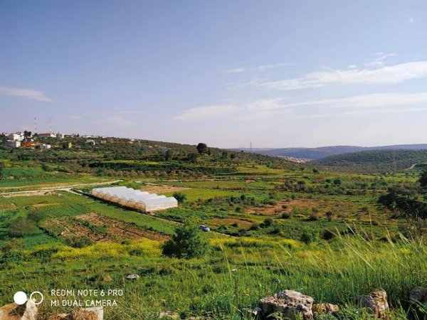  | موسوعة القرى الفلسطينية