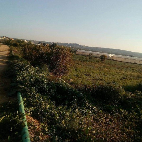  | موسوعة القرى الفلسطينية